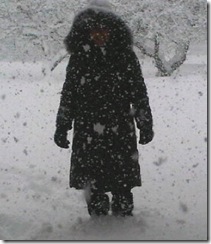 Snow Pic